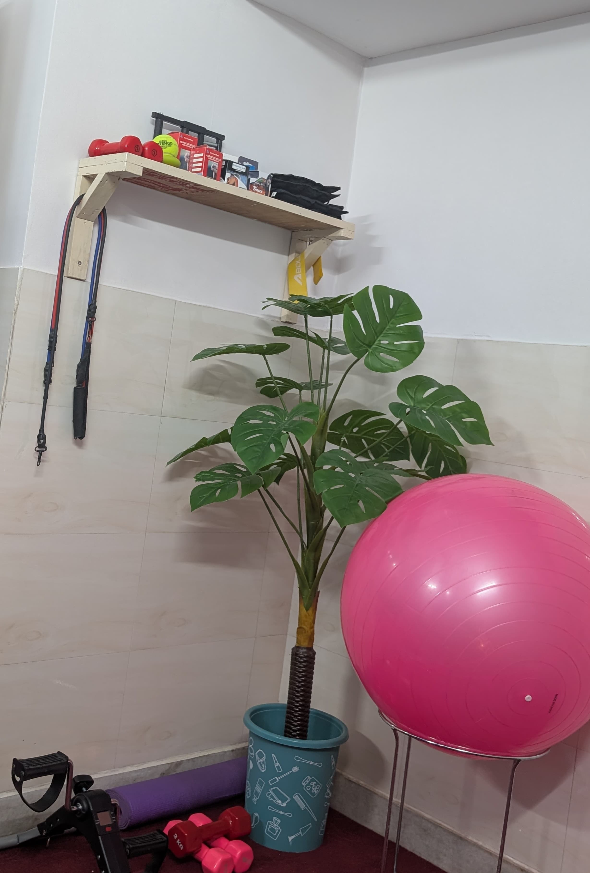 Exercise ball, weights and resistance equipment at Trinay clinic